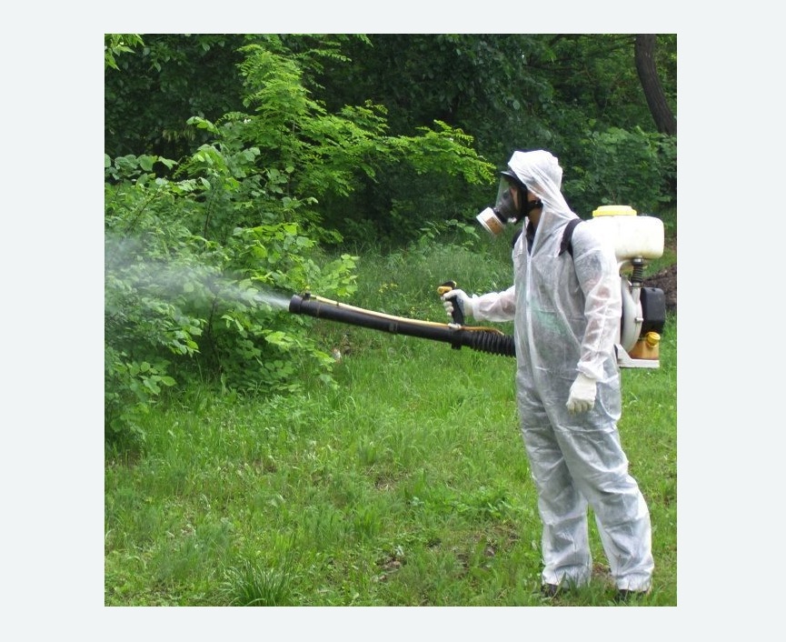 обработка территории от клещей в Котовске