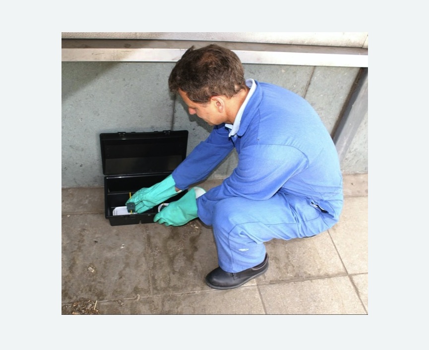 Дератизация помещения в Котовске Дератизация помещения