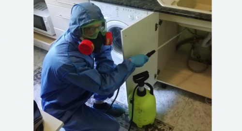 Уничтожение муравьев в квартире. Котовск