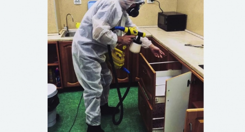 Уничтожение насекомых в квартире. Котовск