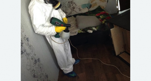 Обработка квартир от насекомых в Котовске