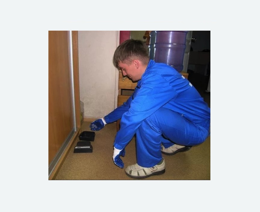 Дератизация крыс в Котовске