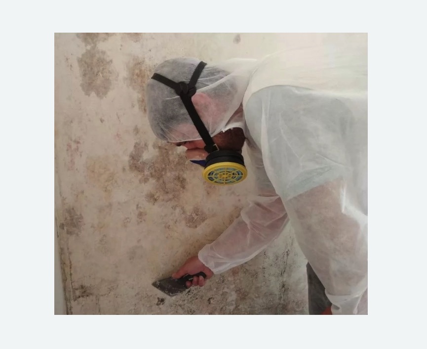 Обработка стен от плесени в Котовске