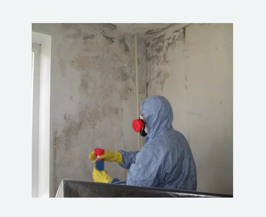 Удаление плесени в квартире в Котовске