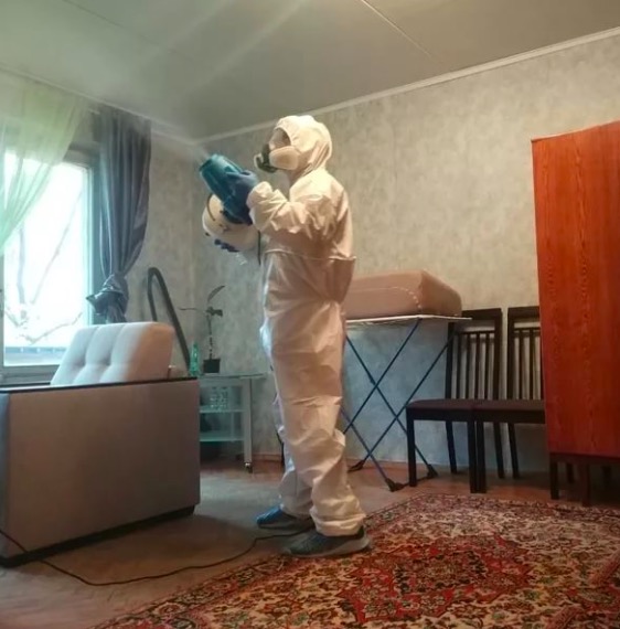 дезинсекция квартиры в Котовске