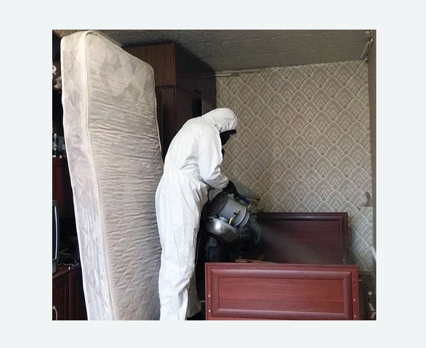 дезинфекция от клопов дезинфекция от клопов в Котовске