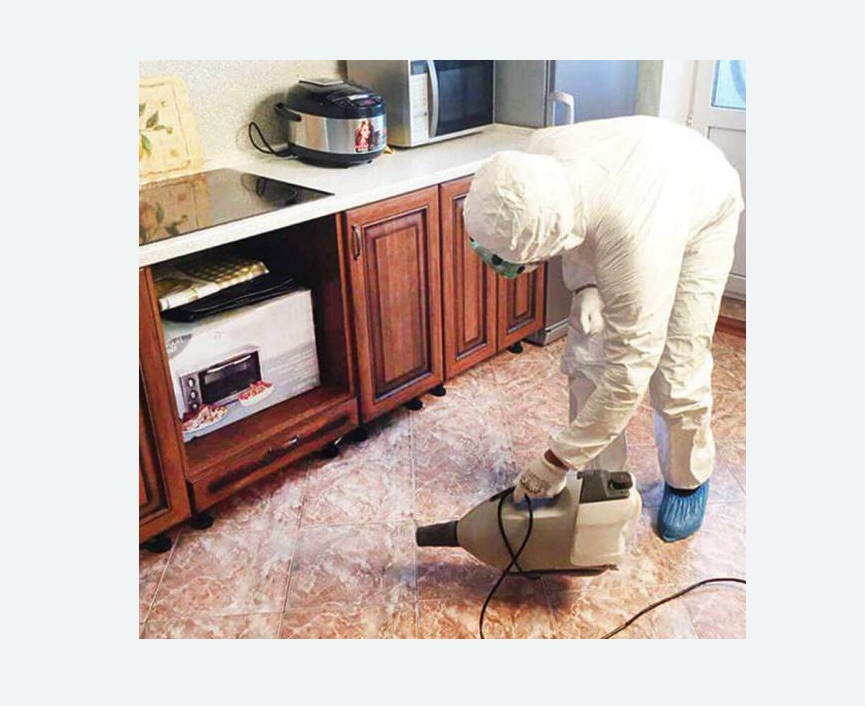 обработка квартиры от клопов в Котовске обработка квартиры от клопов