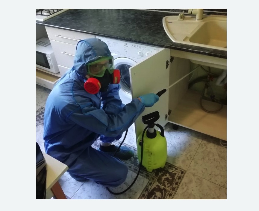 обработка от муравьев в квартире в Котовске