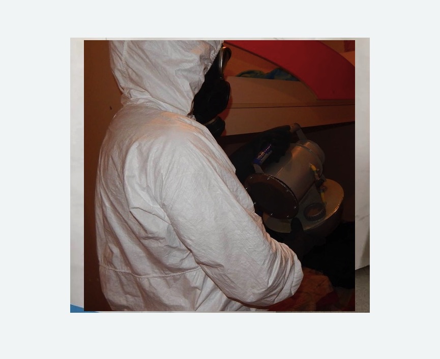 Дезинфекция от муравьев в Котовске