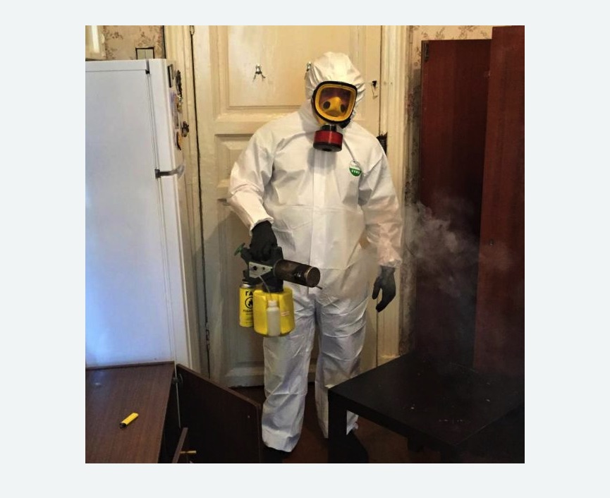 уничтожение муравьев в квартире в Котовске